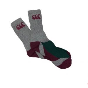 CCC TRAINING SPORT CALF