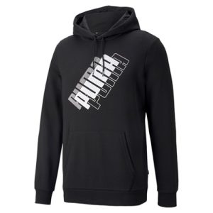 Puma Power Logo Hoodie