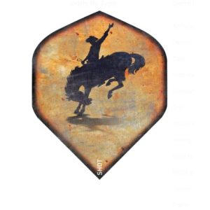 Americana Bronco Flight Standard