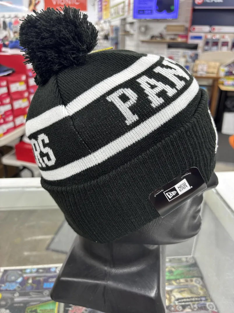 Panthers Beanie Black White RIght